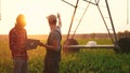 irrigation agriculture. two farmers silhouette with a laptop work in a field with corn at the back is irrigating corn Royalty Free Stock Photo