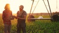 irrigation agriculture. two farmers silhouette with a laptop work in a field with corn at the back is irrigating corn Royalty Free Stock Photo