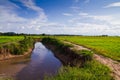 Irrigation canal Royalty Free Stock Photo