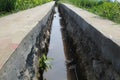 Irrigation Canal in the middle of rice field Royalty Free Stock Photo