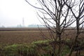 Irrigation channel with bare trees by it between cultivated fields on a misty day in the italian countryside in winter Royalty Free Stock Photo