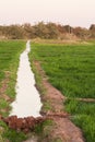 Irrigation channel on the fields at Dahla oasis Royalty Free Stock Photo