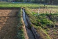 Irrigation channel with green vegetable garden in Pua ,the no Royalty Free Stock Photo