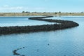 Yolo Bypass Wildlife Area in northern California