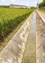 Irrigation ditch of rice field Royalty Free Stock Photo