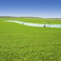 Irrigation equipment watering Spring crops in green farm field. Agriculture farming industry Royalty Free Stock Photo