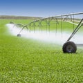 Irrigation equipment watering Spring crops in green farm field. Agriculture farming industry Royalty Free Stock Photo