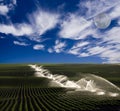 Irrigation on farm Royalty Free Stock Photo