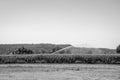 The irrigation machine water the corn field of maize on a hot summer day, saving it from drought Royalty Free Stock Photo