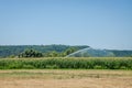 The irrigation machine water the corn field of maize on a hot summer day, saving it from drought Royalty Free Stock Photo