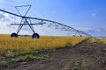 Irrigation pipeline in farm field Royalty Free Stock Photo