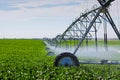 Irrigation Pivot Royalty Free Stock Photo