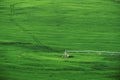 Irrigation Pivot Circle Watering Green Lush Farm Field