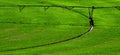 Irrigation Pivot in Lush Green Field with Circle Tracks on Ground