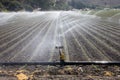 Irrigation plant Royalty Free Stock Photo