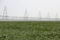 Irrigation plant for irrigation of farm fields, effective irrigation for growing corn