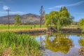 Irrigation pond with trees, grass and reflection Royalty Free Stock Photo