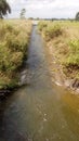 Irrigation Project Catchment Drainage for agriculture Royalty Free Stock Photo