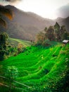 Irrigation of rice fields and mountains