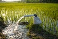 Irrigation of rice fields using pump. Royalty Free Stock Photo