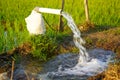 Irrigation of rice fields using pump. Royalty Free Stock Photo