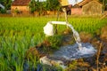 Irrigation of rice fields using pump. Royalty Free Stock Photo