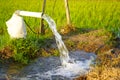 Irrigation of rice fields using pump. Royalty Free Stock Photo