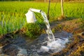 Irrigation of rice fields using pump. Royalty Free Stock Photo