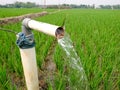 Irrigation of rice fields using pump wells with the technique of pumping water. Royalty Free Stock Photo