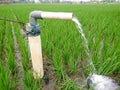Irrigation of rice fields using pump wells with the technique of pumping water. Royalty Free Stock Photo
