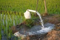 Irrigation of rice fields using pump. Royalty Free Stock Photo