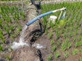 Irrigation of rice fields using pump wells with the technique of pumping water Royalty Free Stock Photo