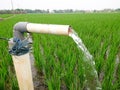 Irrigation of rice fields using pump wells with the technique of pumping water. Royalty Free Stock Photo