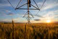 Irrigation system above the field with ripe wheat. Behind is a beautiful sunset Royalty Free Stock Photo