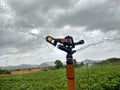 Sprinkler Irrigation System Royalty Free Stock Photo