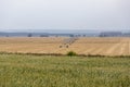 Irrigation system in a grain field Royalty Free Stock Photo