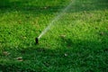 Irrigation system spray watering Royalty Free Stock Photo