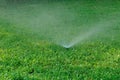 Irrigation system spray watering lawn Royalty Free Stock Photo