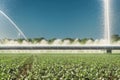 Irrigation system sprinkles water on the soil for good harvest. Sprinkler spraying agricultural field, generative ai