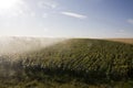 Irrigation system on sunflower field