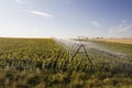 Irrigation system on sunflower field