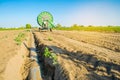 Irrigation system for watering of agricultural crops with a big hose reel. Large industrial equipment for irrigation. Agriculture,