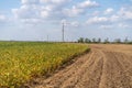 Irrigation System Watering Crops on Farm Field Royalty Free Stock Photo