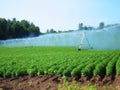 Irrigation system watering crops farmland farm field industrial Royalty Free Stock Photo
