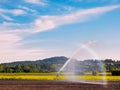 Irrigation system watering freshly seeded field Royalty Free Stock Photo