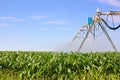 Irrigation system watering green corn field