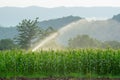 Irrigation system watering young green corn field in the agricultural garden by water springer