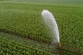 Irrigation system working in corn field in summer time Royalty Free Stock Photo