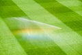 Irrigation turf in a stadium Royalty Free Stock Photo