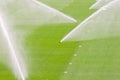 Irrigation turf in a stadium Royalty Free Stock Photo
